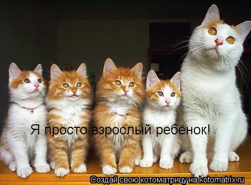 Котоматрица: Я просто взрослый ребёнок!