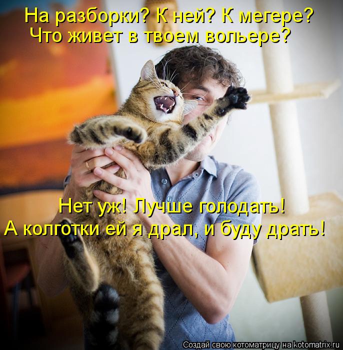 На разборки? К ней? К мегере? Что живет в твоем вольере? Нет уж! Лучше голодать! А колготки ей я драл... Котоматрица: На разборки? К ней? К мегере? Что живет в твоем вольере? Нет уж! Лучше голодать! А колготки ей я драл, и буду драть!