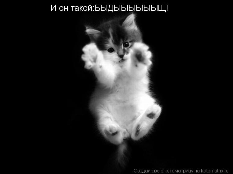 Котоматрица: И он такой:БЫДЫЫЫЫЫЫЩ!
