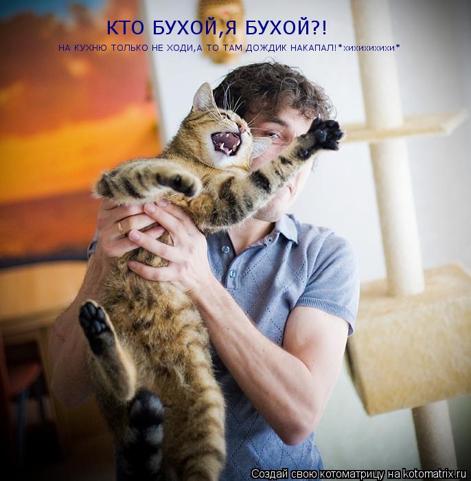 Котоматрица: КТО БУХОЙ,Я БУХОЙ?! НА КУХНЮ ТОЛЬКО НЕ ХОДИ,А ТО ТАМ ДОЖДИК НАКАПАЛ!*хихихихихи*