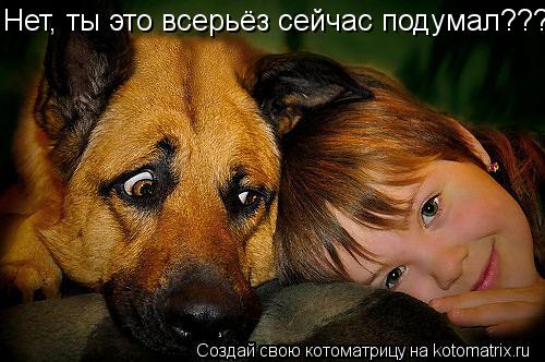 Котоматрица: Нет, ты это всерьёз сейчас подумал???
