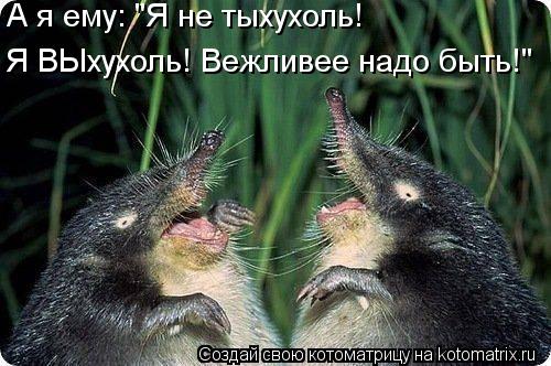 Котоматрица: А я ему: "Я не тыхухоль!  Я ВЫхухоль! Вежливее надо быть!"
