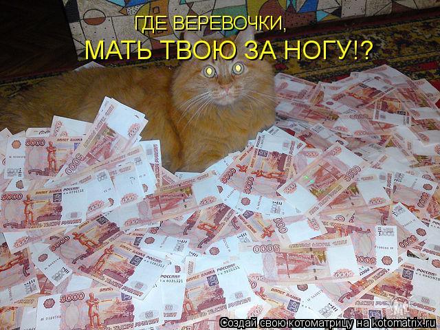 Котоматрица: ГДЕ ВЕРЕВОЧКИ, МАТЬ ТВОЮ ЗА НОГУ!?