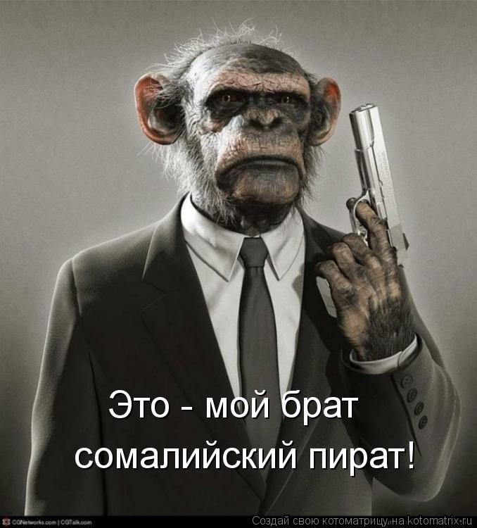 Это - мой брат сомалийский пират!... Котоматрица: Это - мой брат сомалийский пират!