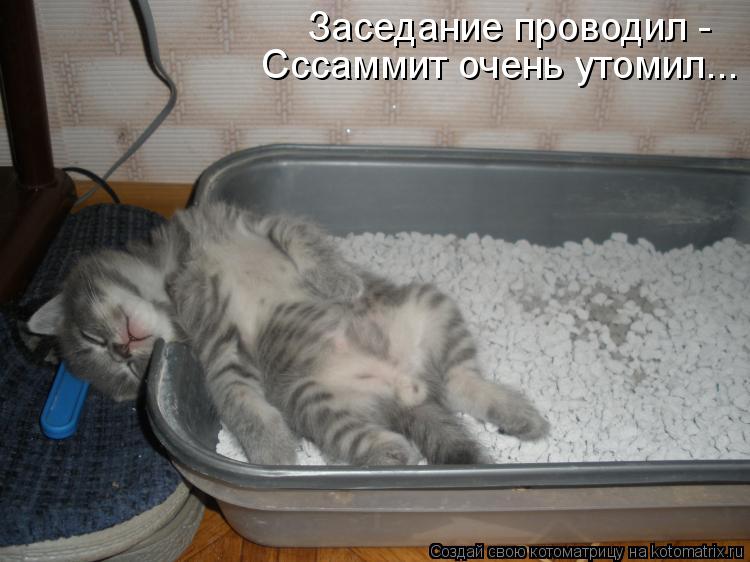 Котоматрица: Заседание проводил -  Сссаммит очень утомил...