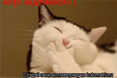 котэ задумался=)... Котоматрица: котэ задумался=)