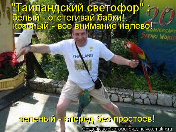 "Таиландский светофор" : красный - все внимание налево! зеленый - вперед без простоев! белый - отсте... Котоматрица: "Таиландский светофор" : красный - все внимание налево! зеленый - вперед без простоев! белый - отстегивай бабки!
