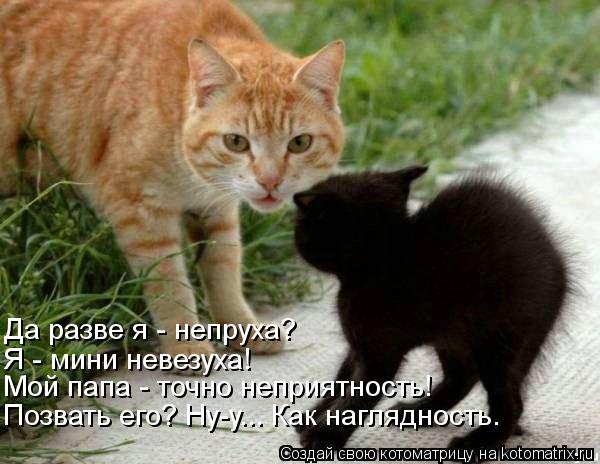 Да разве я - непруха? Я - мини невезуха! Мой папа - точно неприятность! Позвать его? Ну-у... Как н... Котоматрица: Да разве я - непруха? Я - мини невезуха! Мой папа - точно неприятность! Позвать его? Ну-у... Как наглядность.