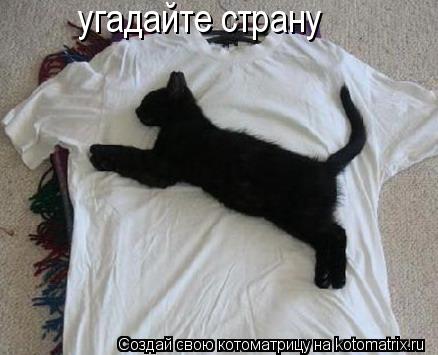 Котоматрица: угадайте страну