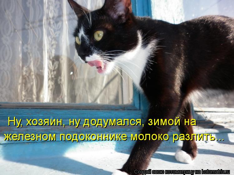Котоматрица: Ну, хозяин, ну додумался, зимой на железном подоконнике молоко разлить...