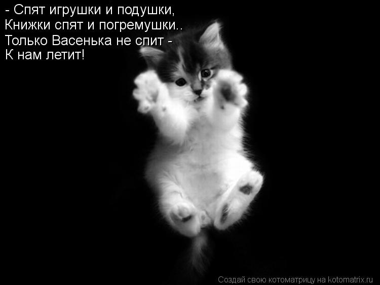 - Спят игрушки и подушки, Книжки спят и погремушки.. Только Васенька не спит - К нам летит!... Котоматрица: - Спят игрушки и подушки, Книжки спят и погремушки.. Только Васенька не спит - К нам летит!