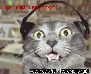 Котоматрица: щас кайф врублю=)