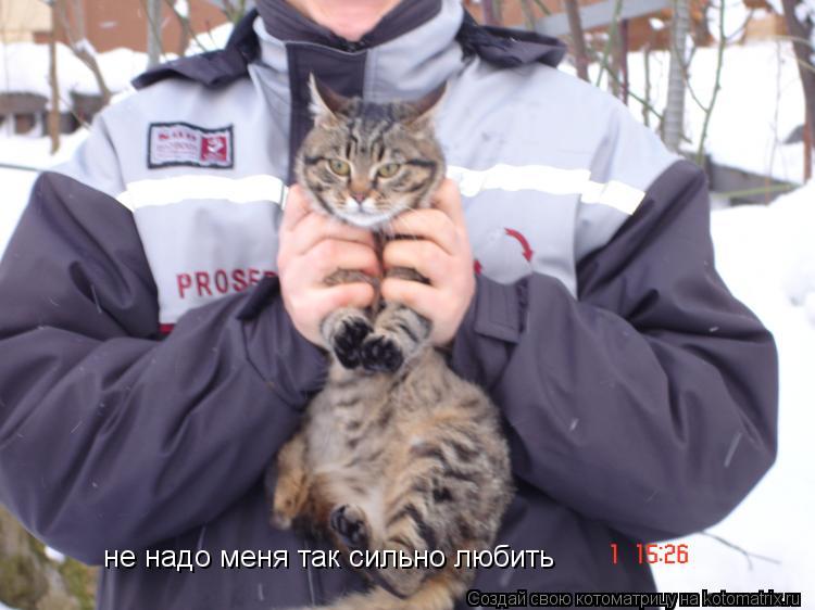 Котоматрица: не надо меня так сильно любить