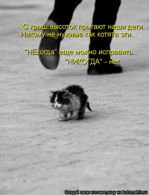 Котоматрица: Никому не нужные как котята эти... С крыш высоток прыгают наши дети... "НЕкогда" еще можно исправить... "НИКОГДА" - нет