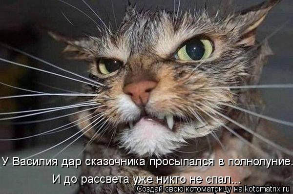 Котоматрица: У Василия дар сказочника просыпался в полнолуние.  И до рассвета уже никто не спал...