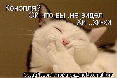 Конопля? Ой что вы..не видел Хи...хи-хи... Котоматрица: Конопля? Ой что вы..не видел Хи...хи-хи