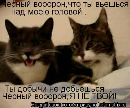 Черный вооорон,что ты вьешься над моею головой... Ты добычи не добьешься Черный вооорон,Я НЕ ТВОЙ!... Котоматрица: Черный вооорон,что ты вьешься над моею головой... Ты добычи не добьешься Черный вооорон,Я НЕ ТВОЙ!