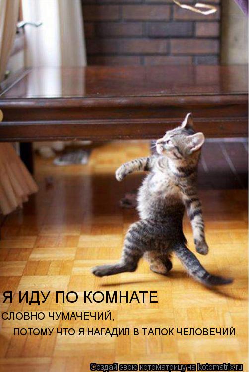 ПОТОМУ ЧТО Я НАГАДИЛ В ТАПОК ЧЕЛОВЕЧИЙ СЛОВНО ЧУМАЧЕЧИЙ, Я ИДУ ПО КОМНАТЕ... Котоматрица: ПОТОМУ ЧТО Я НАГАДИЛ В ТАПОК ЧЕЛОВЕЧИЙ СЛОВНО ЧУМАЧЕЧИЙ, Я ИДУ ПО КОМНАТЕ