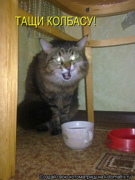 ТАЩИ КОЛБАСУ!... Котоматрица: ТАЩИ КОЛБАСУ!