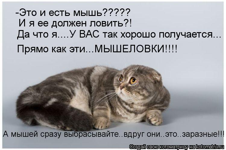 -Это и есть мышь????? И я ее должен ловить?! Да что я....У ВАС так хорошо получается... Прямо как эти... Котоматрица: -Это и есть мышь????? И я ее должен ловить?! Да что я....У ВАС так хорошо получается... Прямо как эти...МЫШЕЛОВКИ!!!! А мышей сразу выбрасывайте..вдру