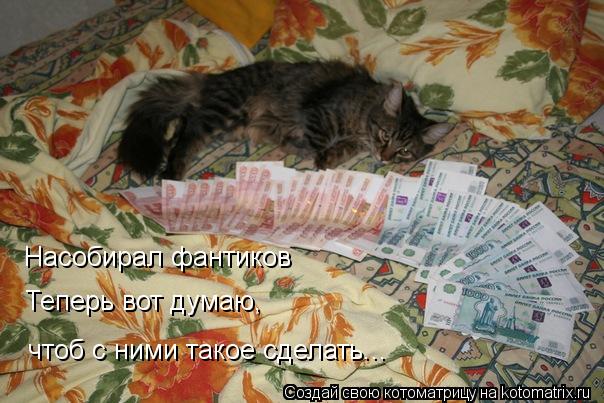Насобирал фантиков Теперь вот думаю, чтоб с ними такое сделать...... Котоматрица: Насобирал фантиков Теперь вот думаю, чтоб с ними такое сделать...