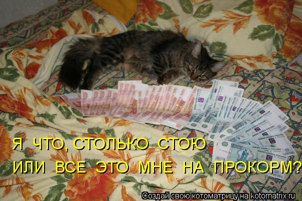 Я ЧТО, СТОЛЬКО СТОЮ ИЛИ ВСЕ ЭТО МНЕ НА ПРОКОРМ?... Котоматрица: Я ЧТО, СТОЛЬКО СТОЮ ИЛИ ВСЕ ЭТО МНЕ НА ПРОКОРМ?