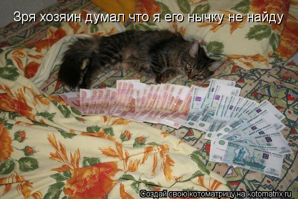 Зря хозяин думал что я его нычку не найду... Котоматрица: Зря хозяин думал что я его нычку не найду