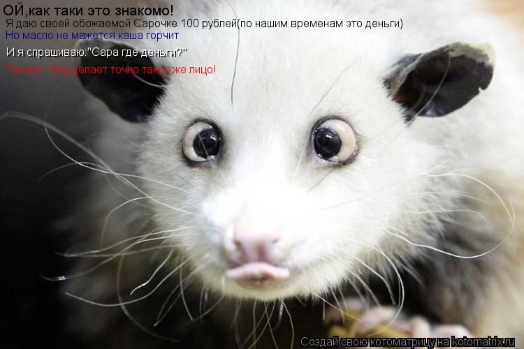 ОЙ,как таки это знакомо! Я даю своей обожаемой Сарочке 100 рублей(по нашим временам это деньги) Но ма... Котоматрица: ОЙ,как таки это знакомо! Я даю своей обожаемой Сарочке 100 рублей(по нашим временам это деньги) Но масло не мажется,каша горчит И я спрашиваю:"