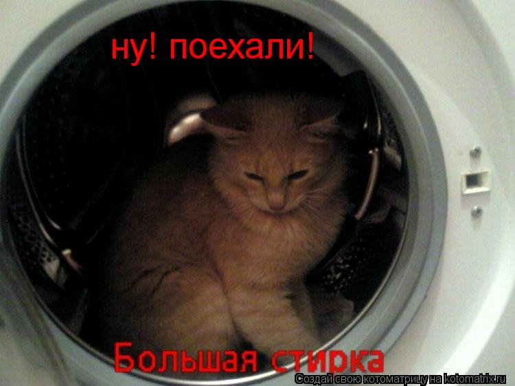 ну! поехали!... Котоматрица: ну! поехали!