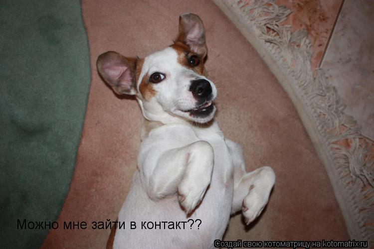 Котоматрица: Можно мне зайти в контакт??
