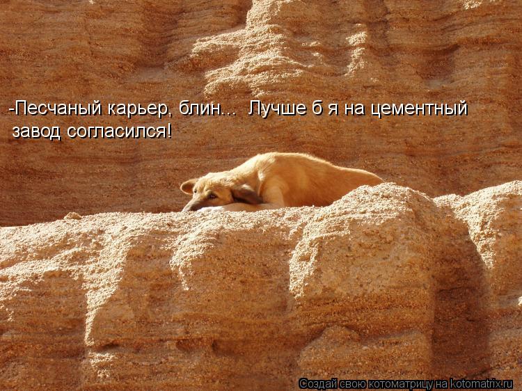 Котоматрица: -Песчаный карьер, блин...  Лучше б я на цементный  завод согласился!