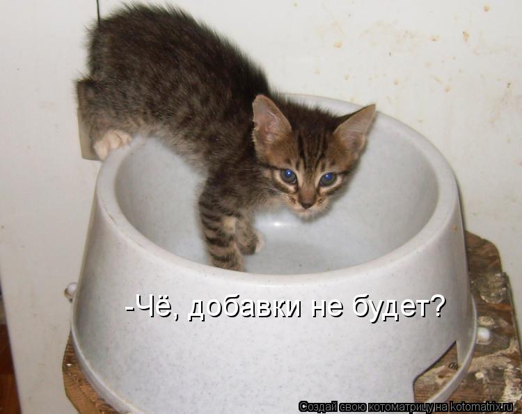 Котоматрица: -Чё, добавки не будет?