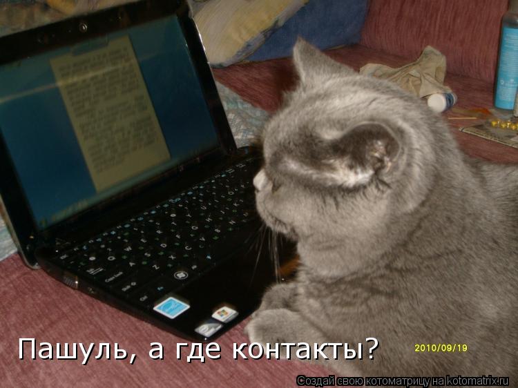 Пашуль, а где контакты?... Котоматрица: Пашуль, а где контакты?