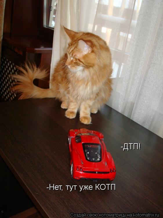 -ДТП! -Нет, тут уже КОТП... Котоматрица: -ДТП! -Нет, тут уже КОТП