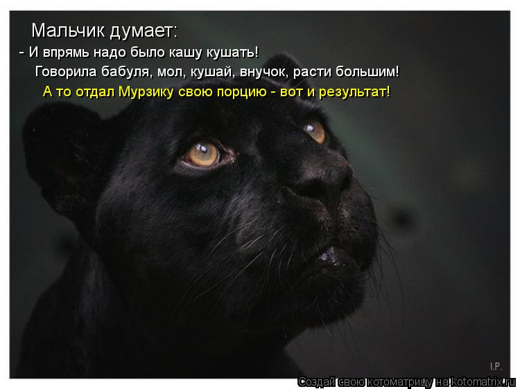 Мальчик думает: - И впрямь надо было кашу кушать! Говорила бабуля, мол, кушай, внучок, расти большим!... Котоматрица: Мальчик думает: - И впрямь надо было кашу кушать! Говорила бабуля, мол, кушай, внучок, расти большим! А то отдал Мурзику свою порцию - вот и рез