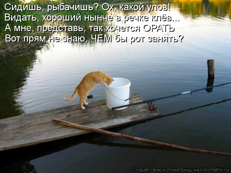Котоматрица: Сидишь, рыбачишь? Ох, какой улов! Видать, хороший нынче в речке клёв... А мне, представь, так хочется ОРАТЬ Вот прям не знаю, ЧЕМ бы рот занять?