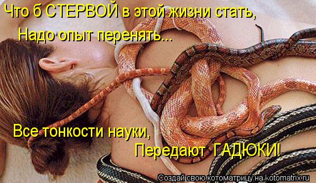 Надо опыт перенять... Что б СТЕРВОЙ в этой жизни стать, Все тонкости науки, Передают ГАДЮКИ!... Котоматрица: Надо опыт перенять... Что б СТЕРВОЙ в этой жизни стать, Все тонкости науки, Передают ГАДЮКИ!