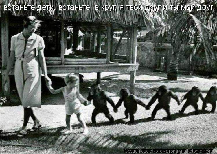 Котоматрица: встаньте дети, встаньте  в круг, я твой друг и ты мой друг