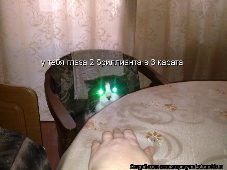 Котоматрица: у тебя глаза 2 бриллианта в 3 карата