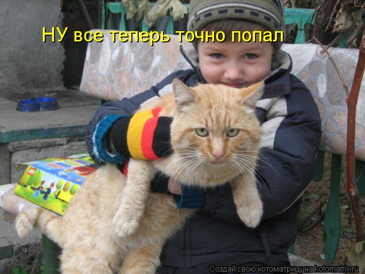 Котоматрица: НУ все теперь точно попал