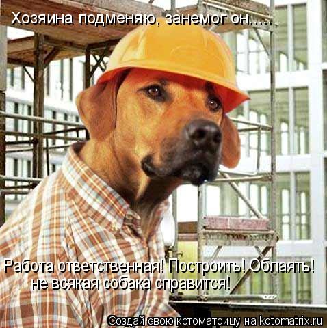 Котоматрица: Хозяина подменяю, занемог он..... Работа ответственная! Построить! Облаять! не всякая собака справится!
