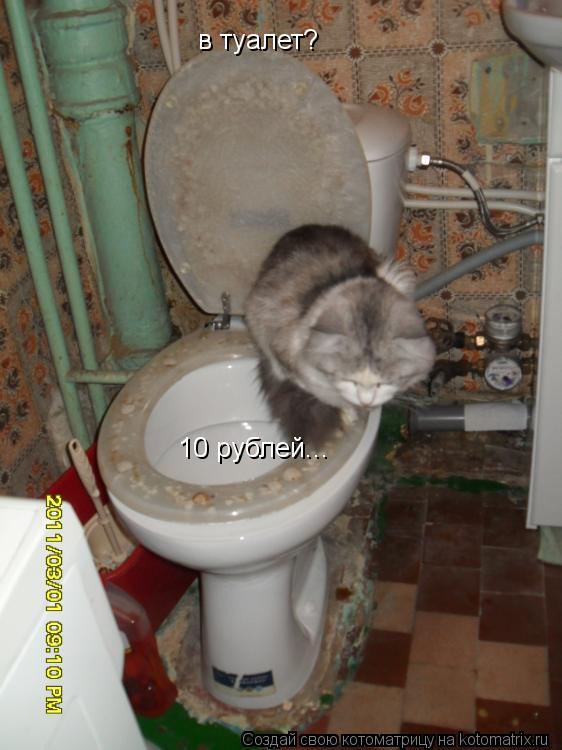 в туалет? 10 рублей...... Котоматрица: в туалет? 10 рублей...
