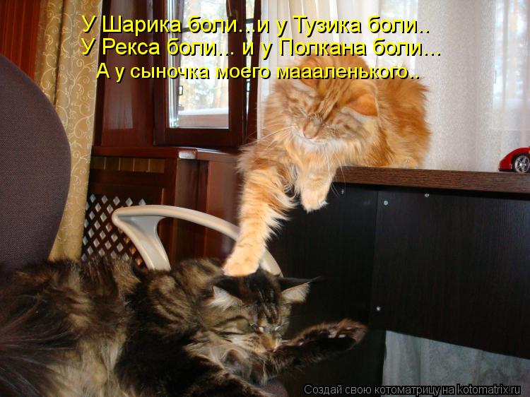 У Шарика боли...и у Тузика боли.. У Рекса боли... и у Полкана боли... А у сыночка моего маааленького.... Котоматрица: У Шарика боли...и у Тузика боли.. У Рекса боли... и у Полкана боли... А у сыночка моего маааленького..