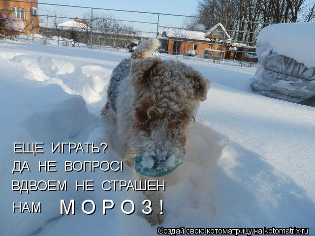 ЕЩЕ ИГРАТЬ? ДА НЕ ВОПРОС! ВДВОЕМ НЕ СТРАШЕН НАМ М О Р О З !... Котоматрица: ЕЩЕ ИГРАТЬ? ДА НЕ ВОПРОС! ВДВОЕМ НЕ СТРАШЕН НАМ М О Р О З !
