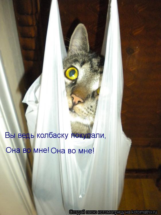 Вы ведь колбаску покупали, Она во мне! Она во мне! Она во мне!... Котоматрица: Вы ведь колбаску покупали, Она во мне! Она во мне! Она во мне!