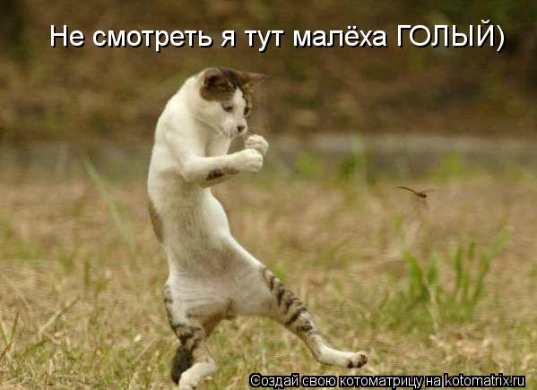 Не смотреть я тут малёха ГОЛЫЙ)... Котоматрица: Не смотреть я тут малёха ГОЛЫЙ)