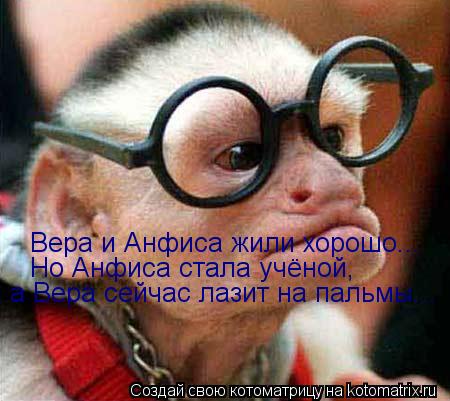 Вера и Анфиса жили хорошо... Но Анфиса стала учёной, а Вера сейчас лазит на пальмы...... Котоматрица: Вера и Анфиса жили хорошо... Но Анфиса стала учёной, а Вера сейчас лазит на пальмы...