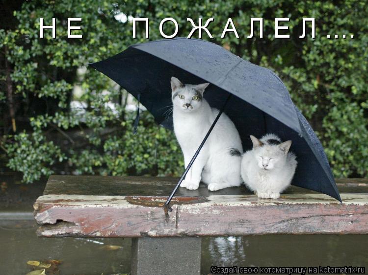 Н Е П О Ж А Л Е Л ....... Котоматрица: Н Е П О Ж А Л Е Л ....