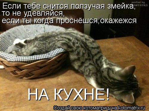 Если тебе снится ползучая змейка, то не удевляйся, если ты когда проснёшся,окажежся НА КУХНЕ!... Котоматрица: Если тебе снится ползучая змейка, то не удевляйся, если ты когда проснёшся,окажежся НА КУХНЕ!