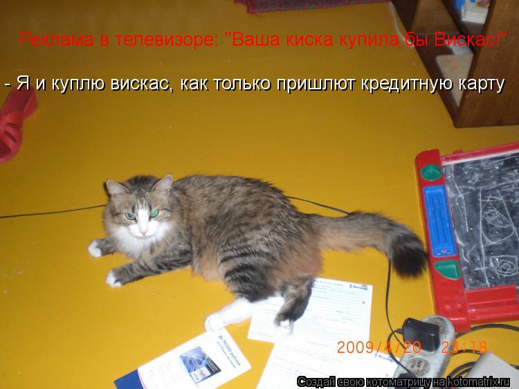 Реклама в телевизоре: "Ваша киска купила бы Вискас!" - Я и куплю вискас, как только пришлют кредитную... Котоматрица: Реклама в телевизоре: "Ваша киска купила бы Вискас!" - Я и куплю вискас, как только пришлют кредитную карту